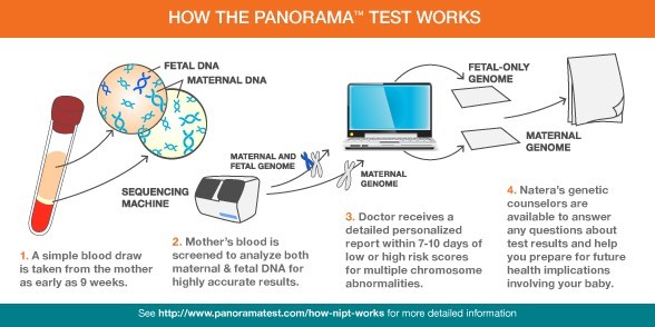 HOW THE PANORAMA TEST WORKS